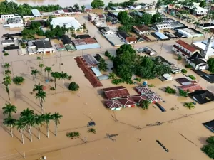 A Amazônia rumo à COP30: retrospectiva de 2024 e desafios para 2025