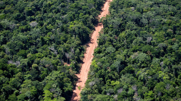 Críticos da nova legislação afirmam que ela tem o potencial de acelerar o desmatamento da Amazônia -que recebe, em novembro em Belém, a próxima conferência do clima