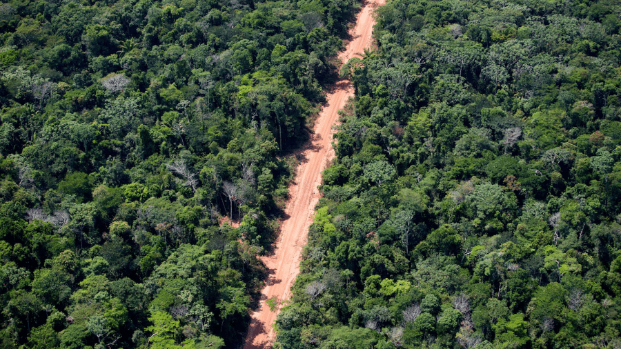 Desmatamento de floresta amazônica