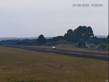 Avião com deputada federal faz pouso de emergência no Paraná; veja vídeo