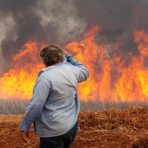 Primavera começa com alerta para risco de novos incêndios em São Paulo