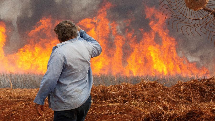 Homem observa incêndio em plantação de cana-de-açúcar em Dumont (SP), em 24 de agosto - JOEL SILVA/Reuters