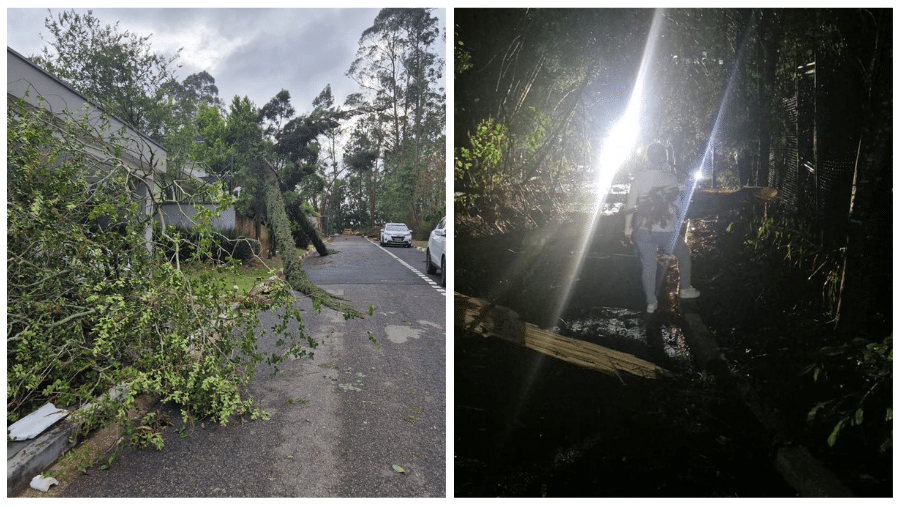 O temporal derrubou árvores e postes de energia elétrica, deixando moradores sem luz na região  - Arquivo Pessoal