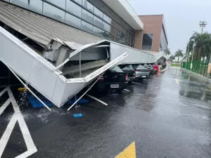 Chuva e ventania deixa parte de SP em atenção; 479 mil imóveis sem luz