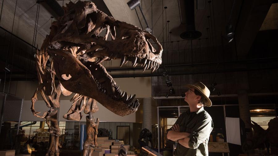 Ossos dos imponente Tiranossauro Rex descoberto no oeste do Canadá em 1991 que foi apontado como o maior do mundo. Diante dele, o cientista Scotty Persons. - Amanda Kelley/AFP
