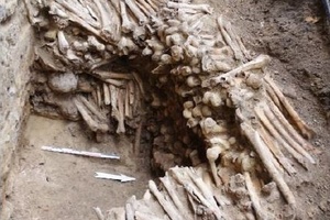 Em meio a obras | Arqueólogos encontram ossos em paredes de catedral na Bélgica