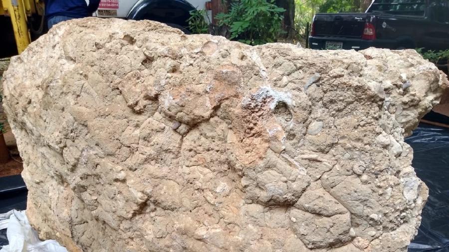 Bloco de calcário de 2,5 toneladas com fósseis de dinossauros é achado em MG - Divulgação/UFTM