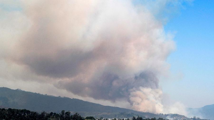 Fumaça sobe do incêndio florestal em Santa Juana, no Chile - Javier Torres/AFP