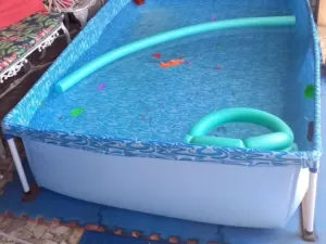 Alívio no calor: piscina de mil litros está por R$ 200; veja avaliações