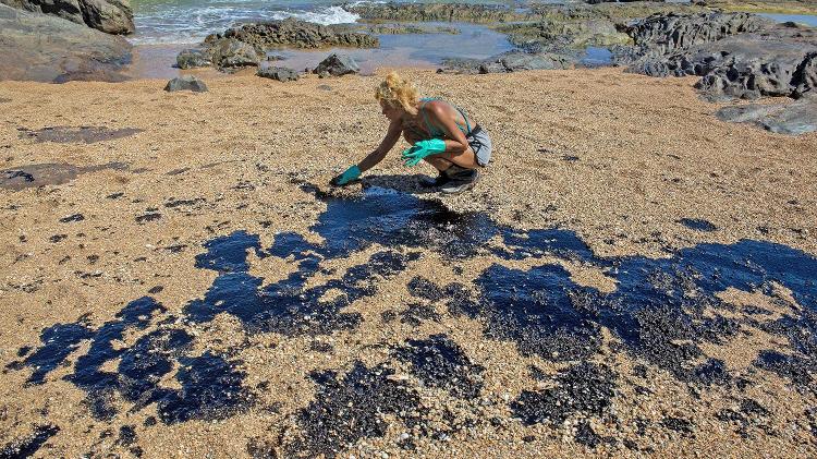 Capes atrasa edital e trava pesquisas sobre impactos do óleo no Nordeste