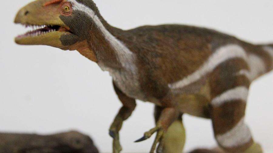 Ilustração de como deve ter sido o Aratasaurus museunacionali - Divulgação/Museu Nacional