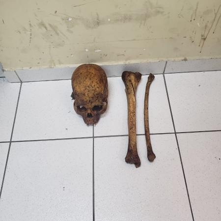 Crânio e dois ossos que seriam vendidos foram encontrados em sacola no RJ - Divulgação/Polícia Civil RJ
