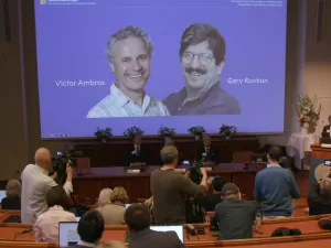 Dupla de cientistas recebe Nobel de Medicina por descoberta do microRNA