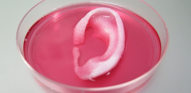 Orelha criada a partir de impressora 3D - pesquisadores utilizaram células vivas para criar partes do corpo - Wake Forest Institute for Regenerative Medicine