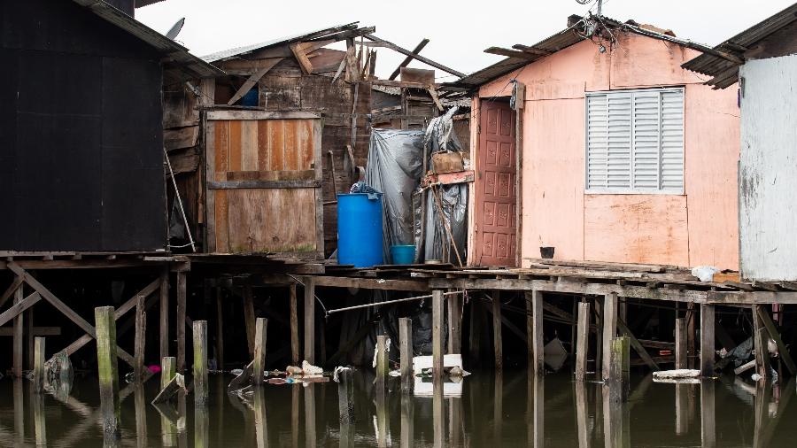 Dique da Vila Gilda, maior favela de palafitas em Santos (SP), onde moram ao menos 6 mil famílias - Flavio Moraes/UOL