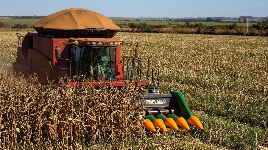 Colheita de milho: Ministério da Agricultura vai destinar R$ 200 milhões para complementar o Plano Safra - CNA