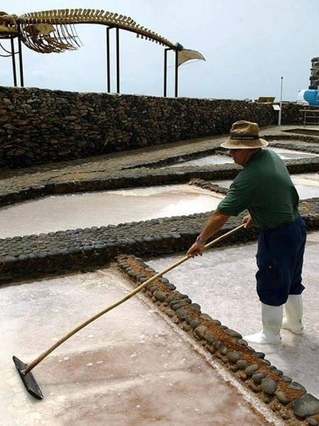 Technological changes, if successful, could end whales stranding - Getty Images - Getty Images