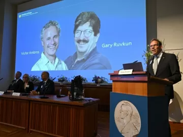 Dupla de cientistas recebe Nobel de Medicina por descoberta do microRNA