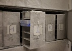 Cientistas criam 'arca de Noé' para microrganismos ameaçados de extinção (Foto: Iniciativa Microbiota Vault)