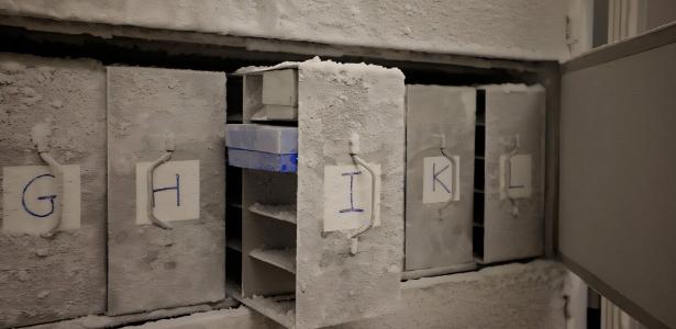 Cientistas criam 'arca de Noé' para microrganismos ameaçados de extinção