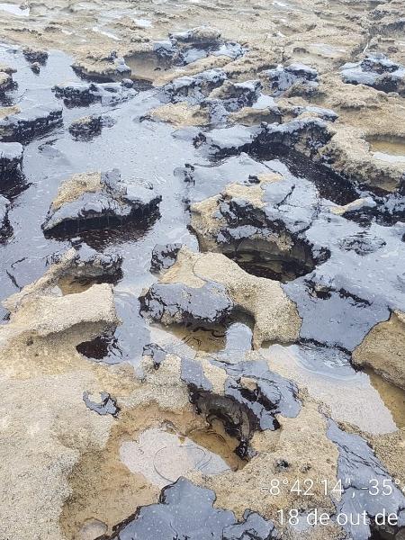 O óleo já atingiu centenas de praias nos estados nordestinos - Clemente Coelho / Instituto Bioma Brasil