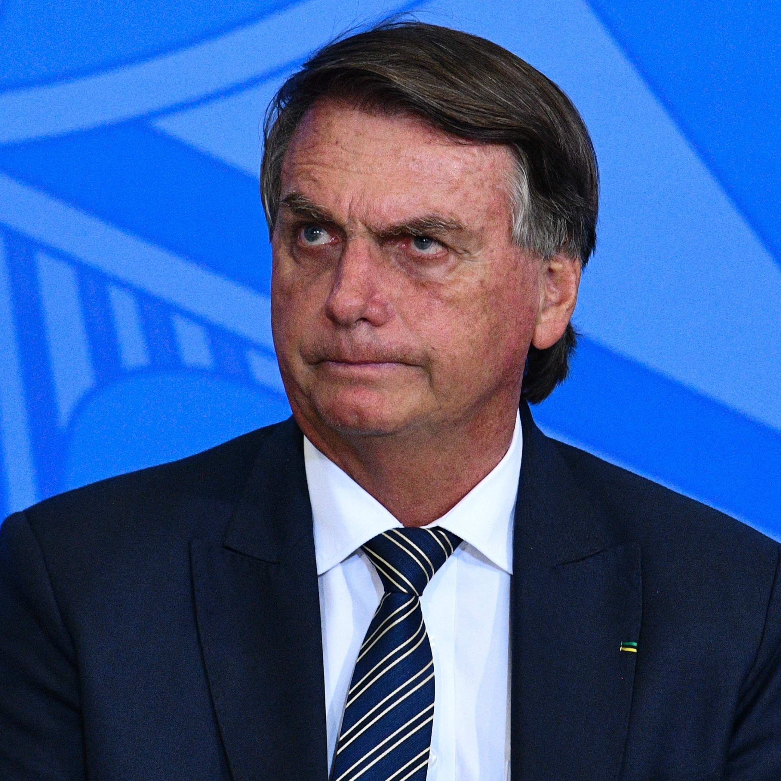 Ô animal, votei em você': Bolsonaro a Daniel Silveira, que está