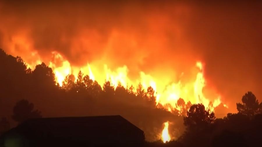 Quase 660.000 hectares de terras foram devastados por incêndios entre 1º de janeiro e 13 de agosto - Reprodução/Youtube