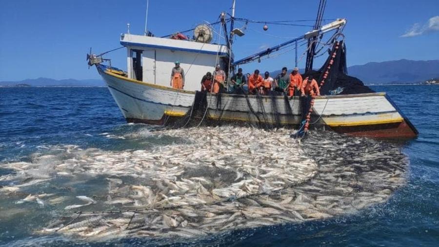 PM Ambiental flagra pesca predatória em Florianópolis; tecnologias aumentaram alcance da predação por humanos