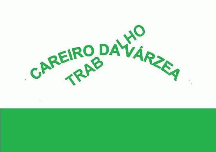 Bandeira de Careiro da Várzea (AM)