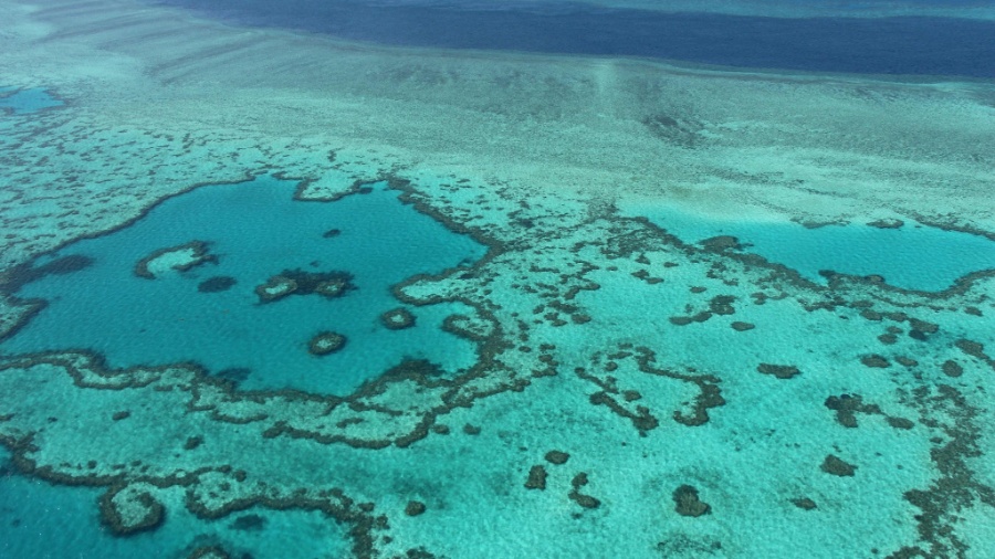Vista aérea da Grande Barreira de Corais na costa das Ilhas Whitsunday, em Queensland, que tem migrado de um lado para o outro do oceano em resposta às grandes flutuações do nível do mar nos últimos 30 mil anos - Sarah Lai/AFP 