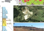 Pesquisadores encontram primeiro ninho de dinossauros já identificado no Brasil - Nature