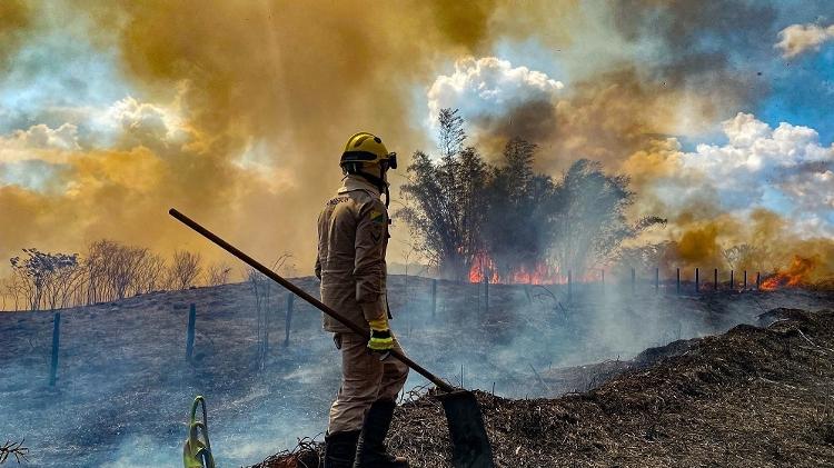 MPT abriu inquérito para apurar denúncias envolvendo brigadistas no Amazonas 