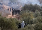 Colonos atacam e roubam azeitonas de palestinos na Cisjordânia
