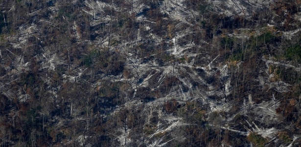Floresta amazônica vira terra arrasada para posterior plantação de soja e uso para pecuária em Apuí, no Amazonas - Bruno Kelly/Reuters - Bruno Kelly/Reuters