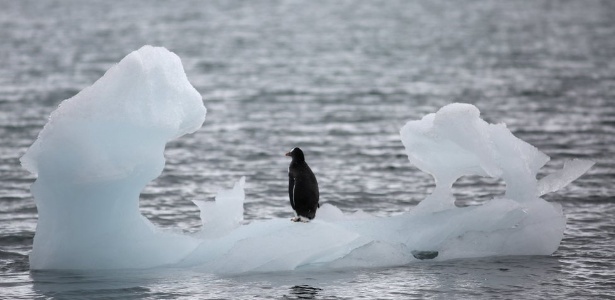 Derretimento acelera, e Antártida perde 2,7 trilhões de toneladas de gelo em 25 anos - Reuters
