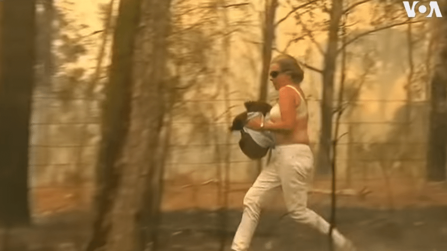 Mulher corre com coala nos braços após retirá-lo de uma área afetada por incêndios, no leste da Austrália - Reprodução