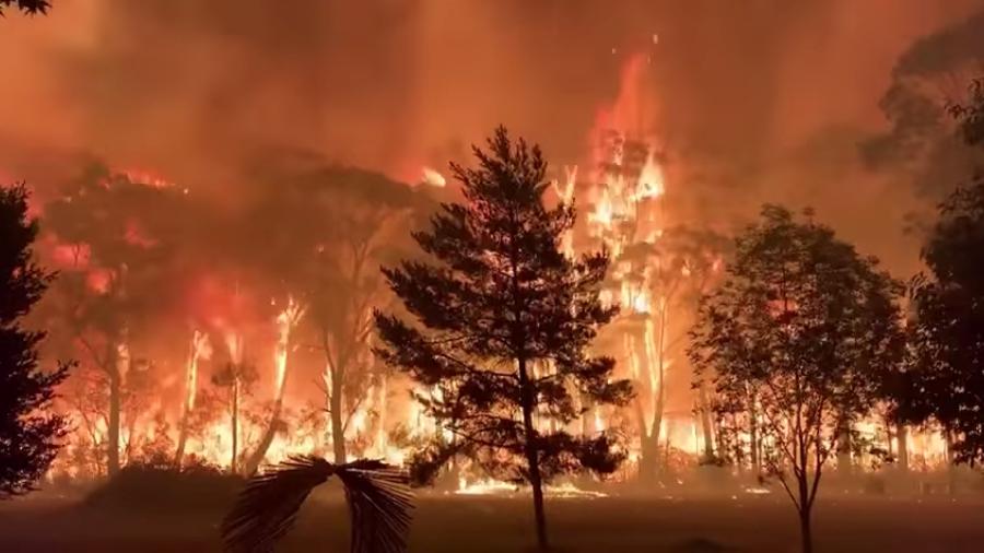 Incêndio atinge área florestal em Nova Gales do Sul, na Austrália - Terry Hills Brigade/Reuters