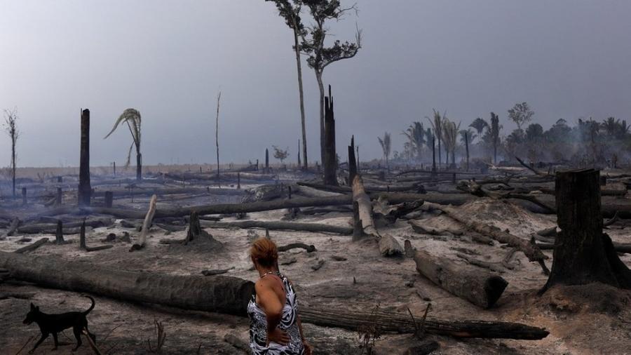 Congresso analisa medida provisória que pode aumentar o desmatamento na floresta amazônica - Reuters