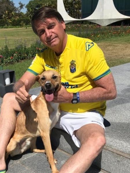 O presidente Jair Bolsonaro sanciona hoje projeto de lei que aumenta pena para quem maltratar cães e gatos - Reprodução/instagram/michellebolsonaro
