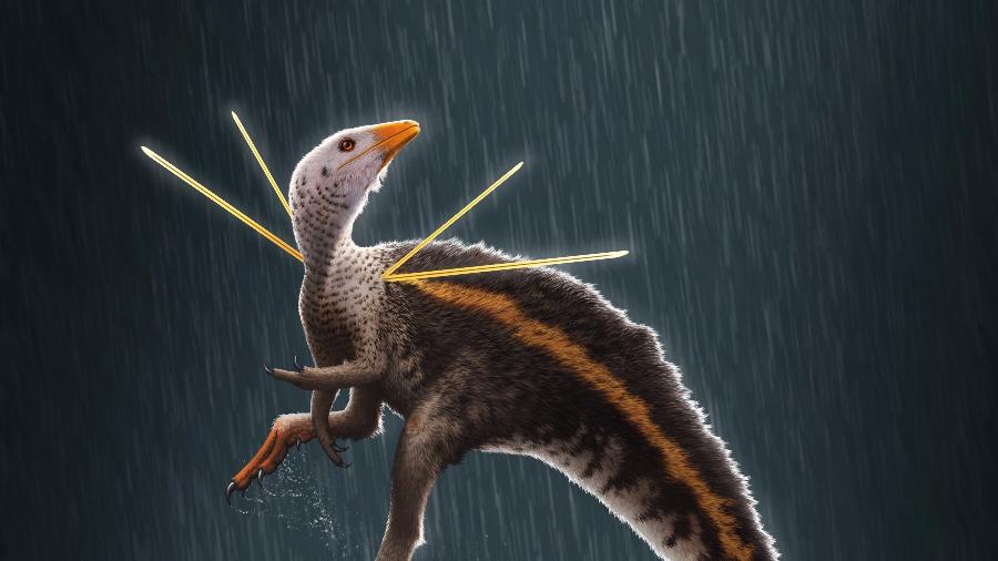 Ubirajara jubatus tinha tamanho aproximado de uma galinha e viveu há 110 milhões de anos - Artwork © Bob Nicholls  Paleocreations.com 2020