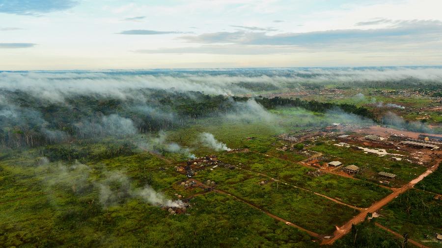 11.mai.20 - Fiscalização do Exército contra desmatamento na Floresta Nacional de Jacundá (RO), na Amazônia - Divulgação/Exército