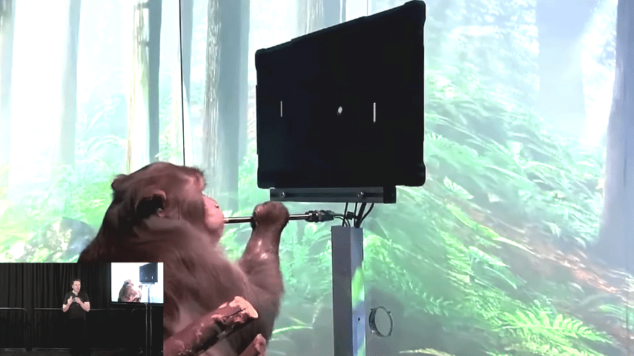 Macaco com chip cerebral da Neuralink joga videogame Pong; cena foi apresentada por Elon Musk (quadro inferior esquerdo) durante evento "Show and Tell", em 30 de novembro de 2022 - Reprodução/YouTube