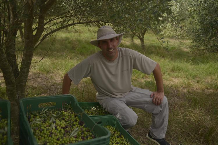 O empresário Marcelo Costi exibe resultado de colheita passada