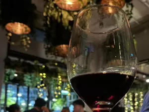 Brasileira ironiza Argentina cara: 'Mais barato tomar vinho do que água'