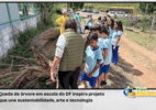 Queda de árvore inspira projeto escolar de tecnologia e meio ambiente