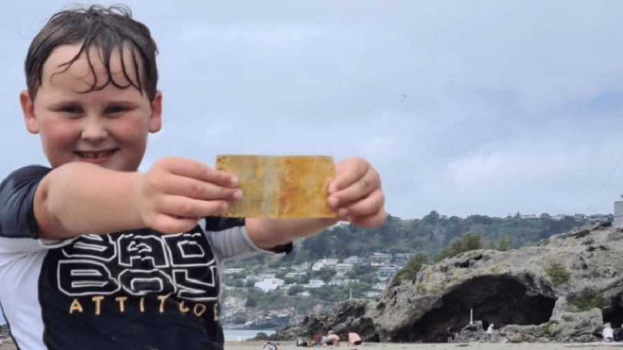 Zayn alegre com a nota de 5 dólares neozelandeses em mãos - Reprodução/Trade Me
