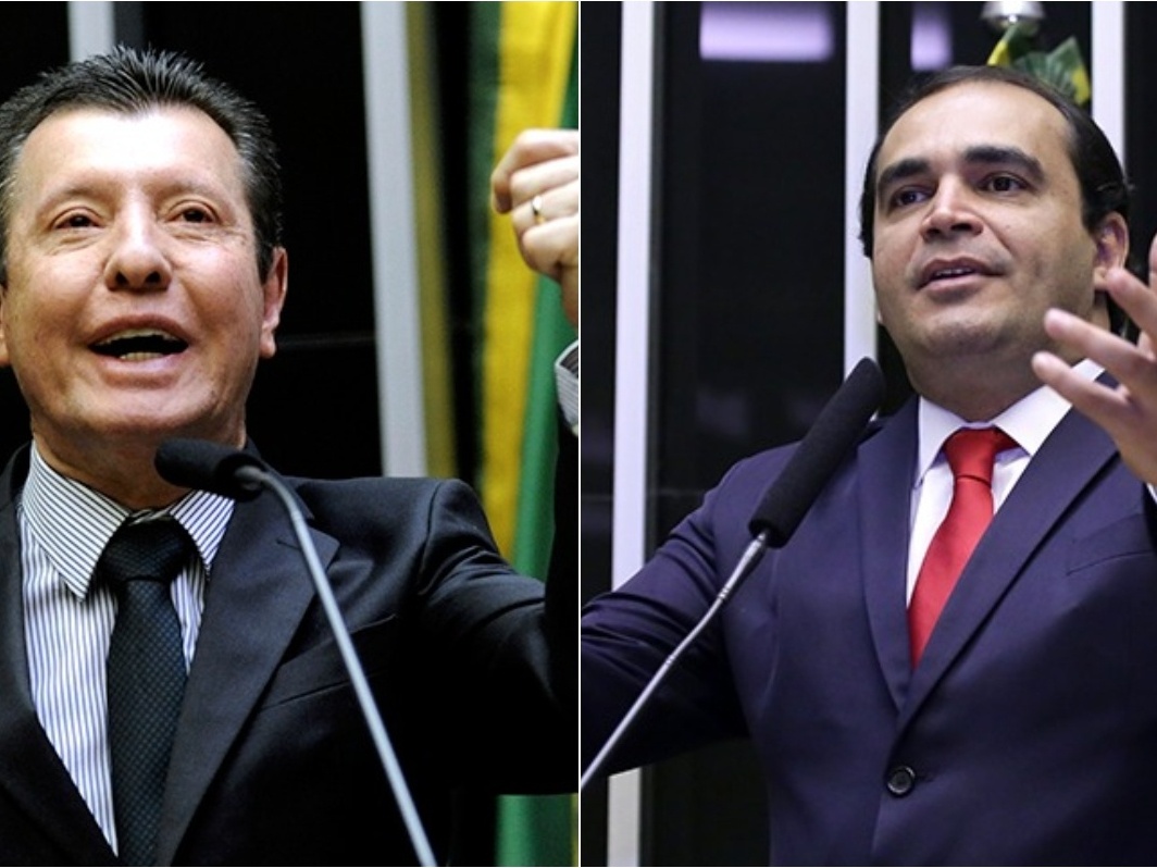 Deputados de MG e GO disputam na Câmara por pequi, o "ouro do Cerrado"