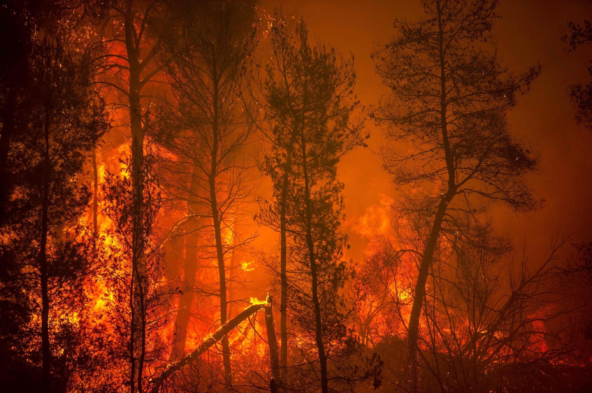 Ilha de Eubeia, segunda maior da Grécia, chegou neste domingo (8) ao 6º dia consecutivo de incêndios florestais - Angelos Tzortzinis/AFP