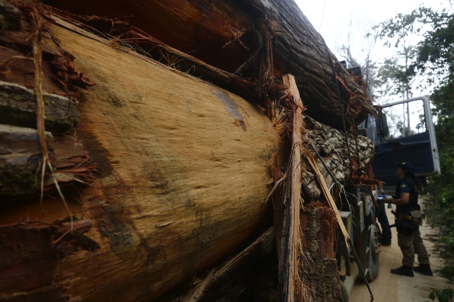 Lunaé Parracho/Repórter Brasil