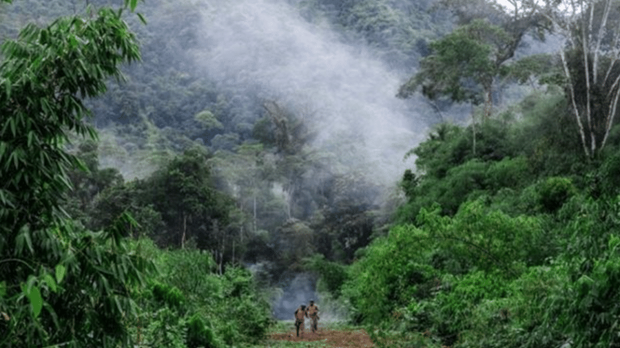 A Amazônia tem vivido uma escalada na degradação ambiental e na violência nos últimos anos - EPA